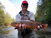 Phil and brown trout, october